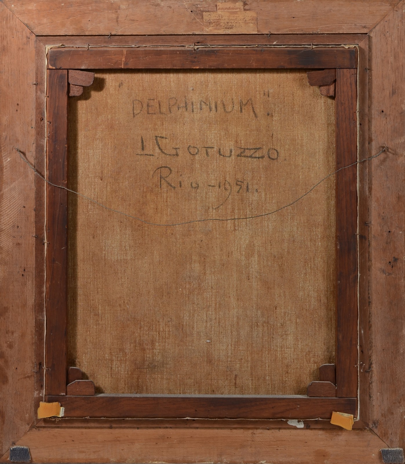 Leopoldo Gotuzzo (1887-1983), DELPHINIUM - foto 4 de 4