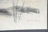 Tomaz Santa Rosa (1909-1956), Pássaros - Crayon.