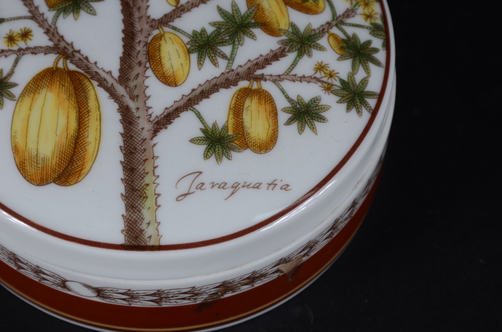 Vista Alegre (1824) - foto 3 de 10
