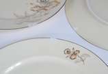 Rosenthal (1907),  - Aparelho de jantar de porcelana alemã Rosenthal, na cor bege com flores em tons de cinza e realces dourados, composto de: 24 pratos rasos (3 lascados)