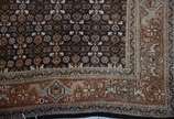 Tapete Tabriz (1101),  - Passadeira Tabriz.