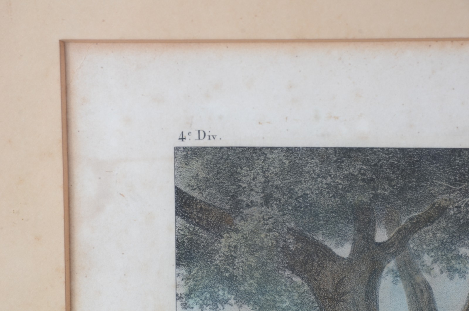 Rugendas (1802-1858), Chatimens Domestiques - foto 7 de 8