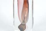 Vaso de Murano com mesclas rosadas. - Vaso de Murano com mesclas rosadas.