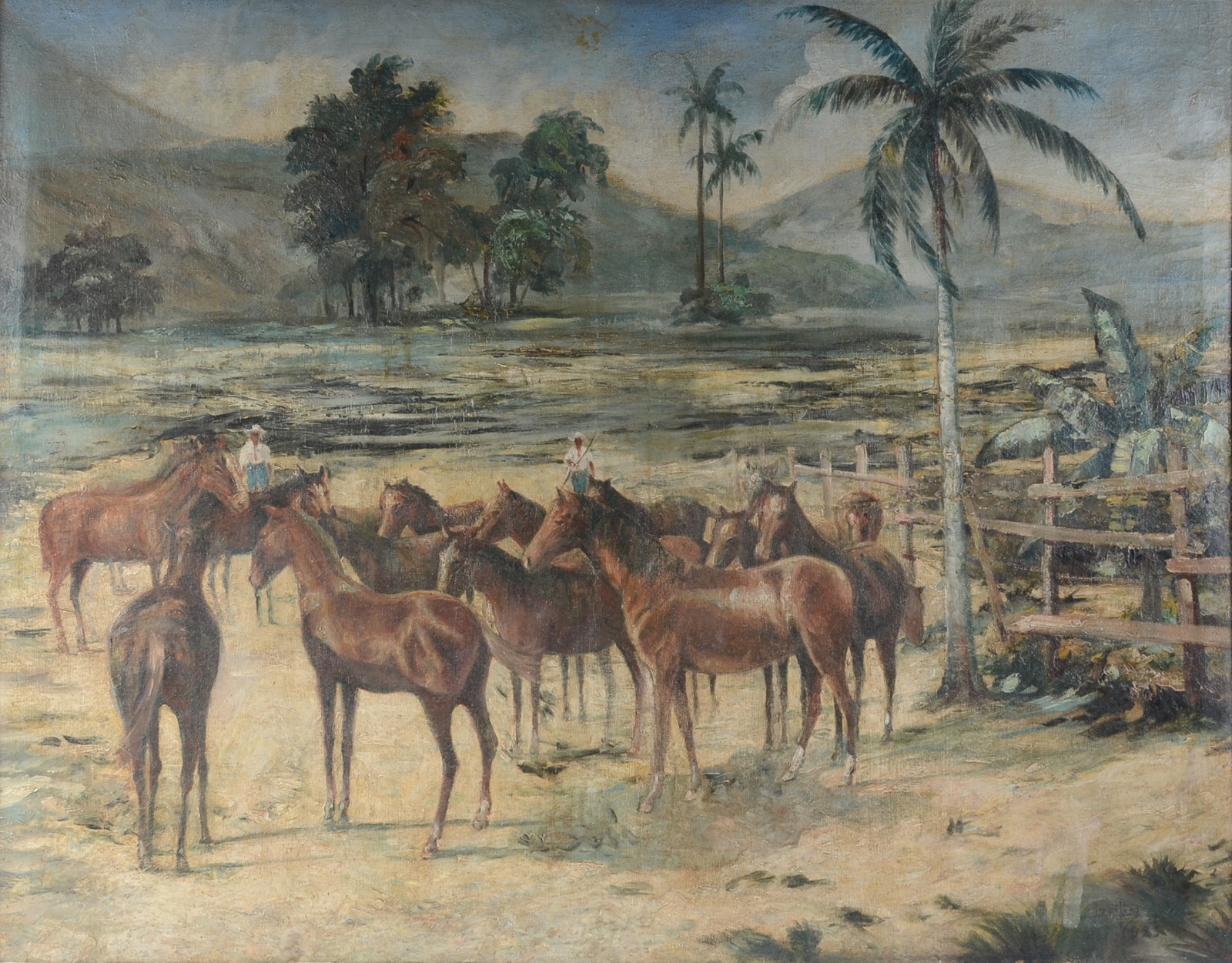 Lucílio de Albuquerque (1877-1939), Haras de cavalos, interior da Bahia - foto 1 de 4