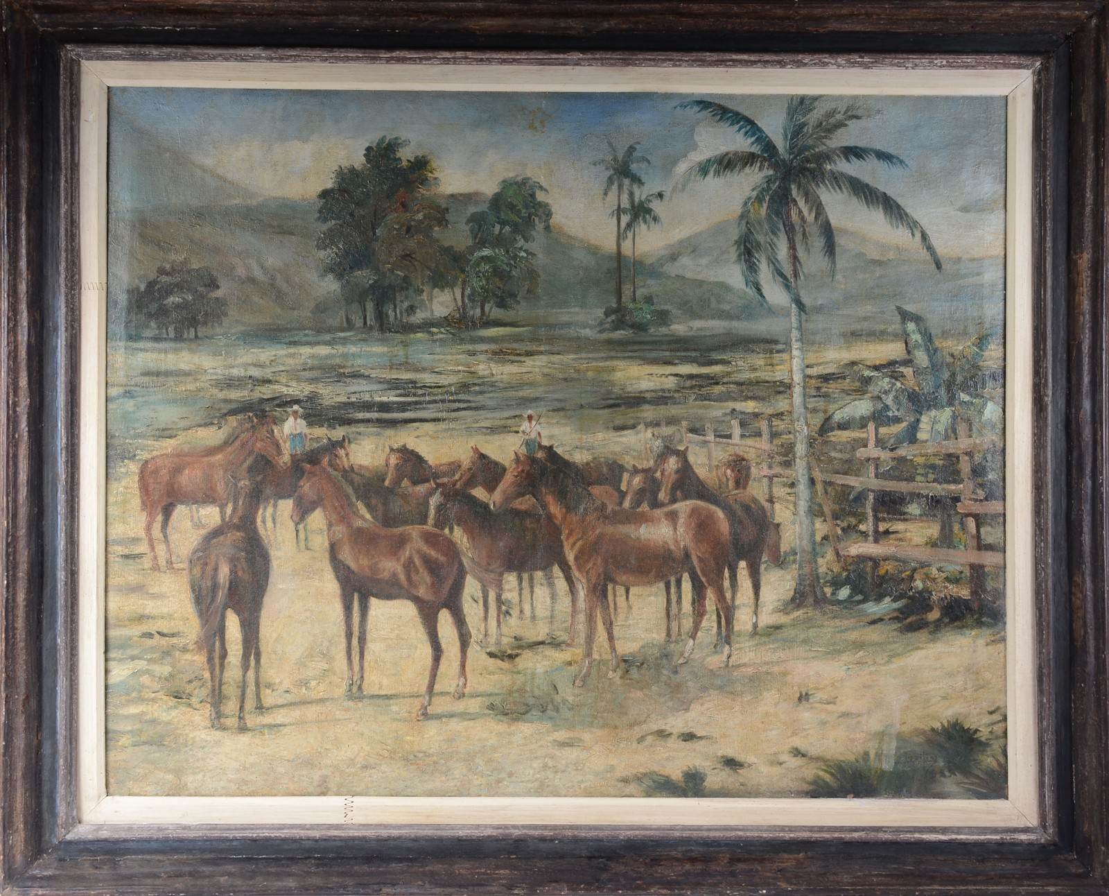 Lucílio de Albuquerque (1877-1939), Haras de cavalos, interior da Bahia - foto 2 de 4