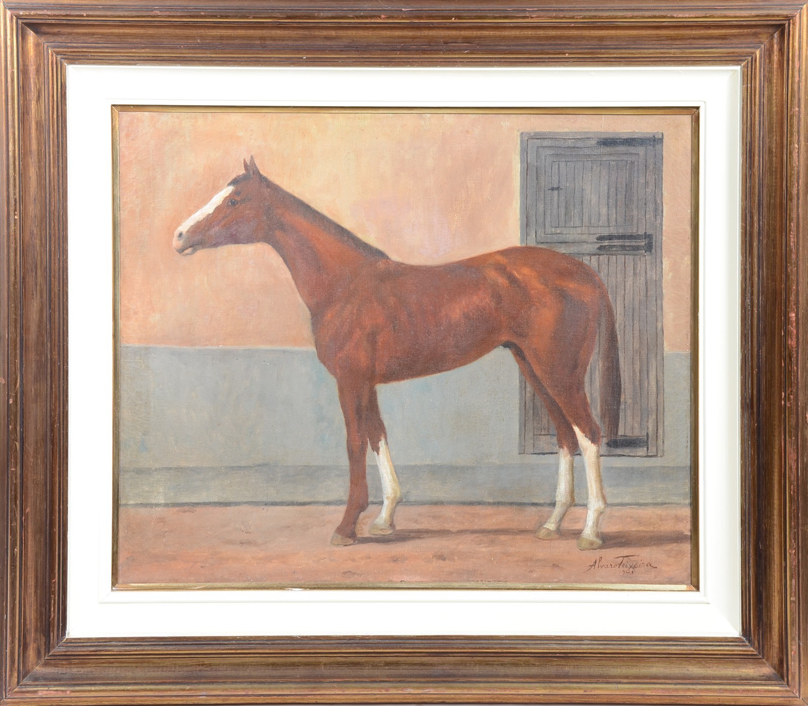 cavalo - foto 2 de 4