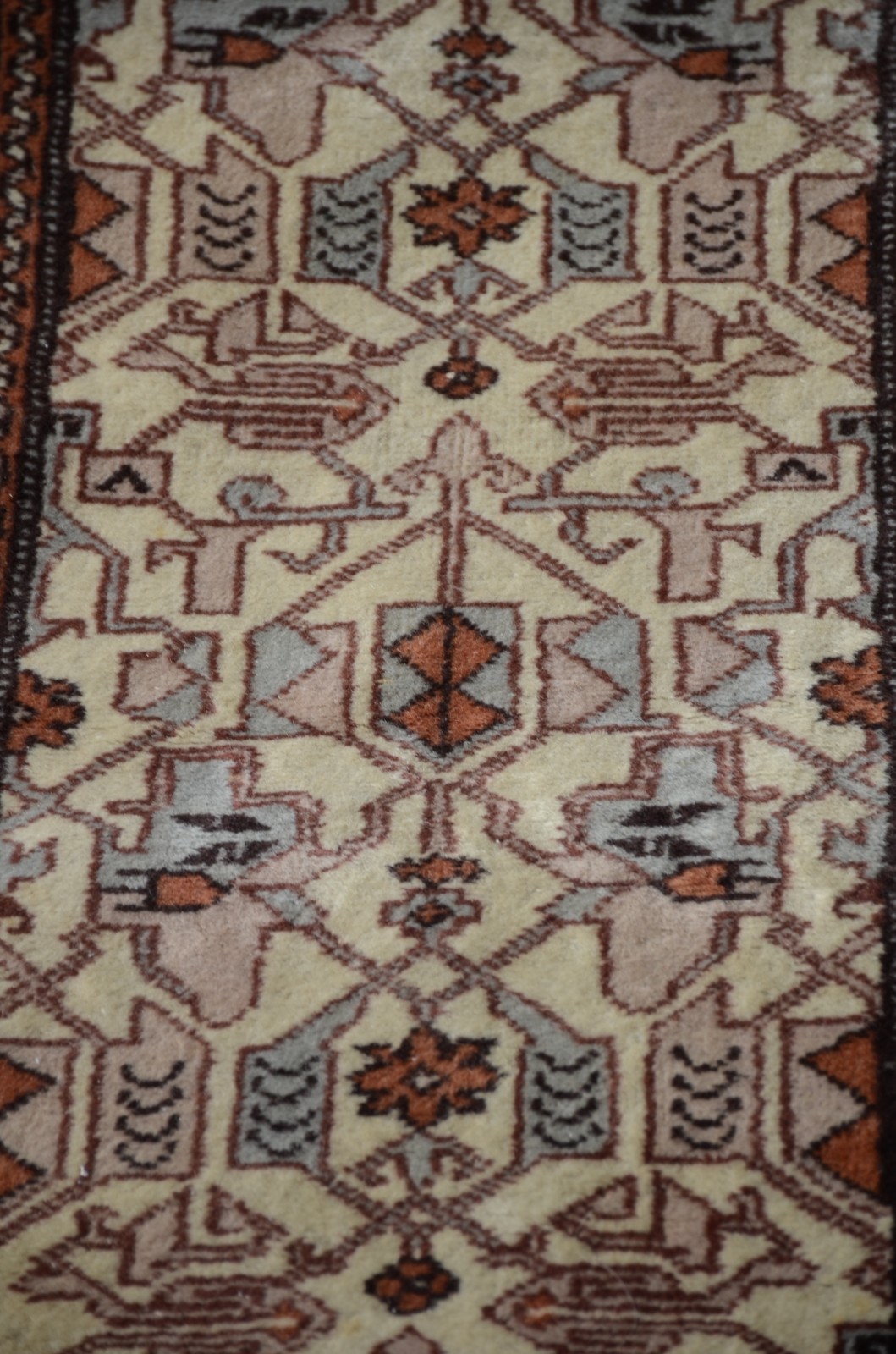Passadeira oriental - foto 2 de 5
