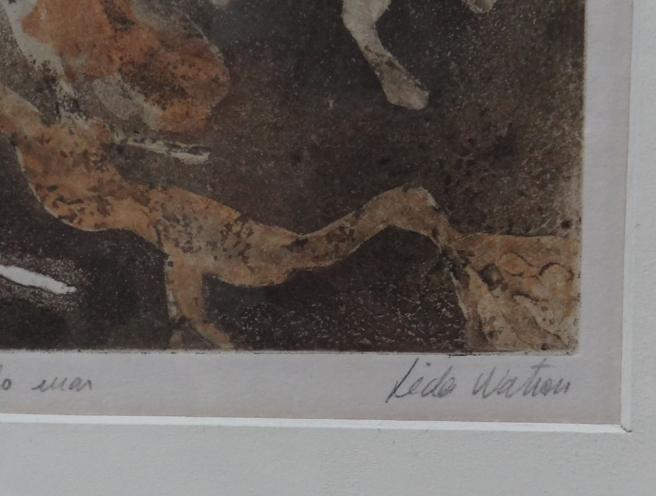 Lêda Watson (1933), No Fundo do mar - foto 3 de 4