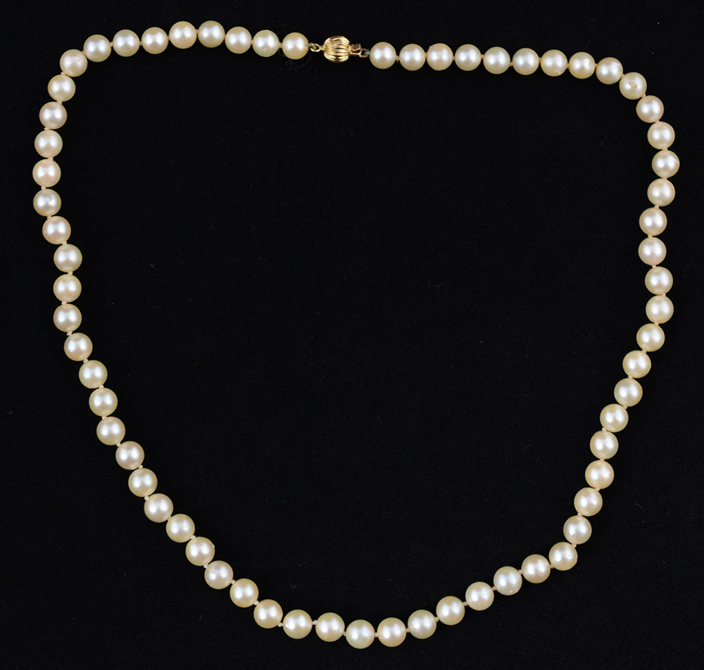 Colar de pérolas (aproximadamente 5 mm) de uma volta e fecho de ouro...