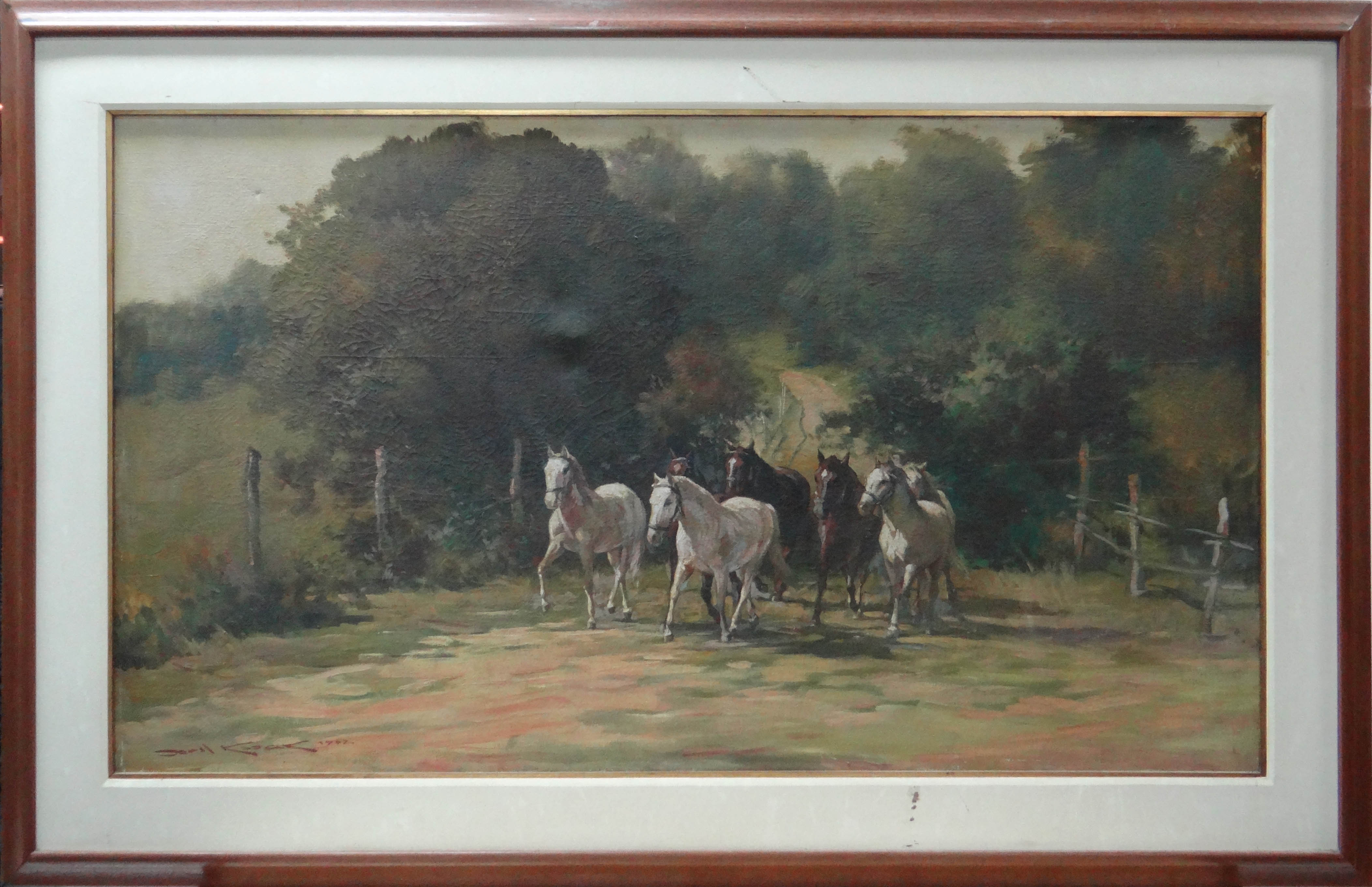 Cavalos - foto 1 de 3