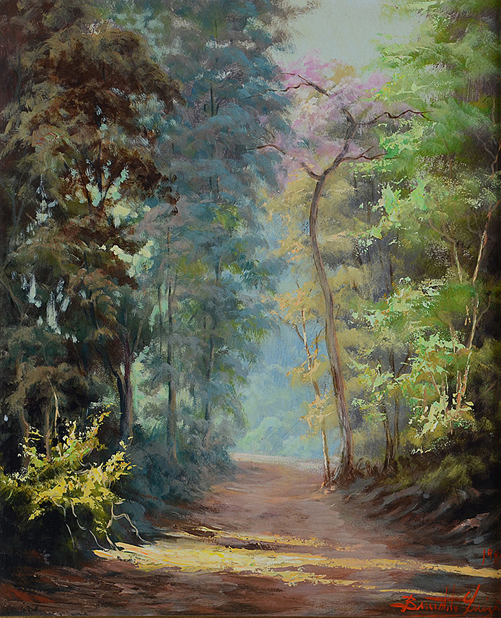 BENEDITO LUIZI - Paisagem - ose - 46 x 38 - foto 2 de 3