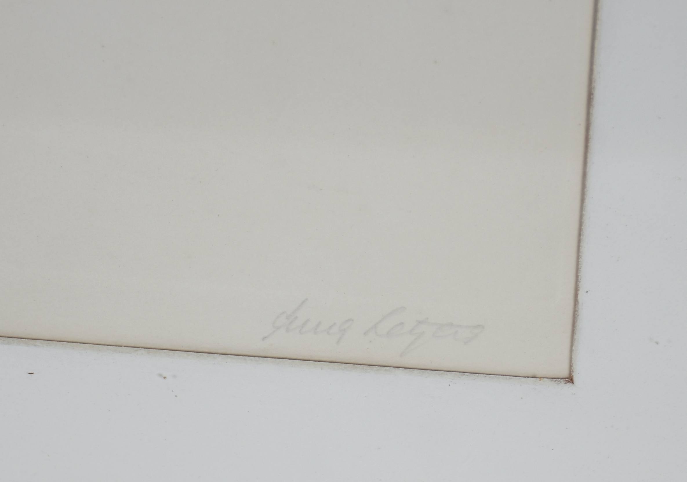 Anna Letycia Quadros  (1929-2018), Caracol - foto 2 de 4