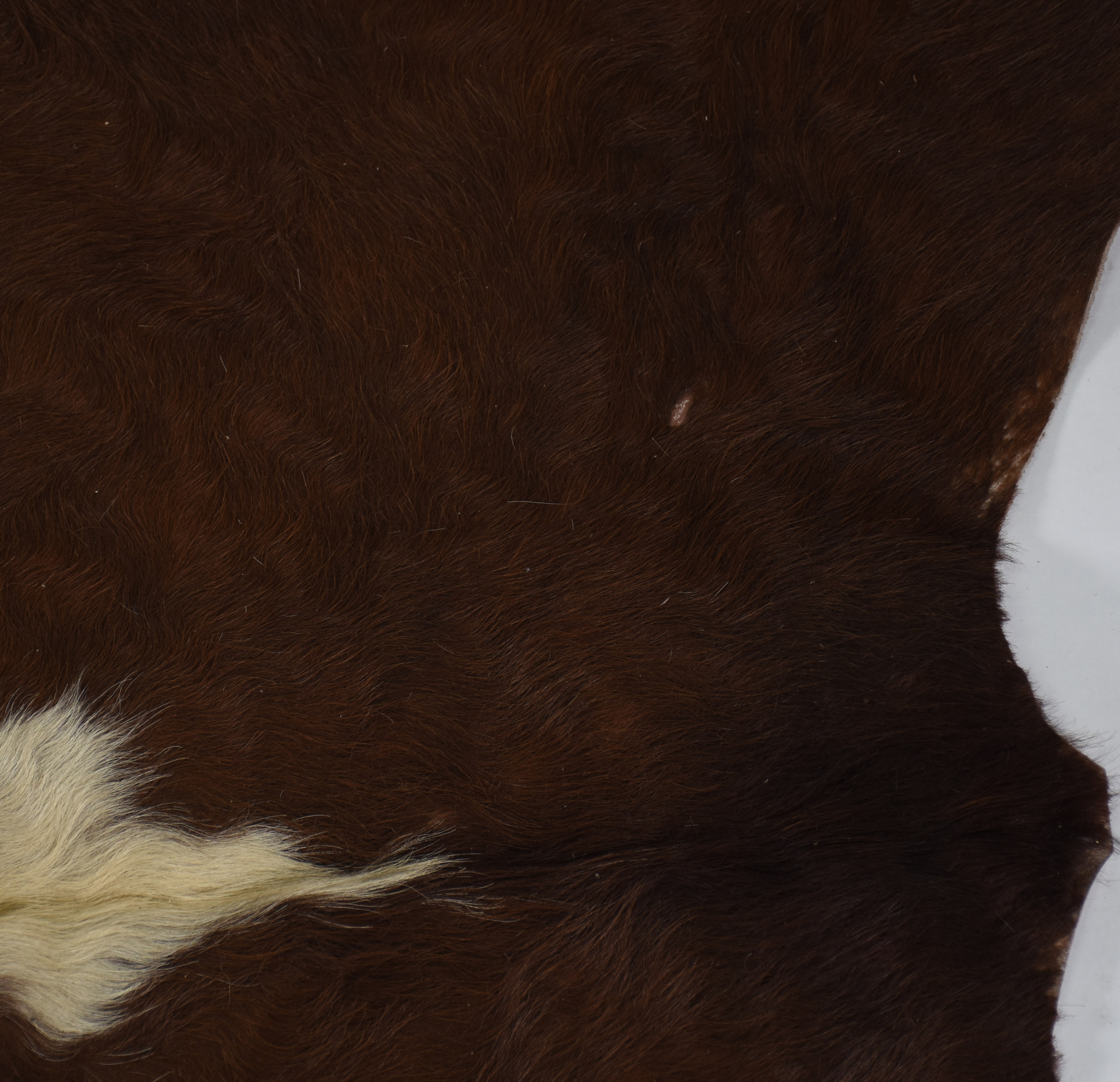Lote 97 - foto 3 de 3