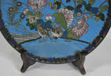 Antigo Prato de cloisoné chines azul decorado c... - Antigo Prato de cloisoné chines azul decorado com flores e pássaros em policromia.