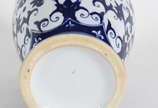 Potiche de porcelana  - Potiche de porcelana 