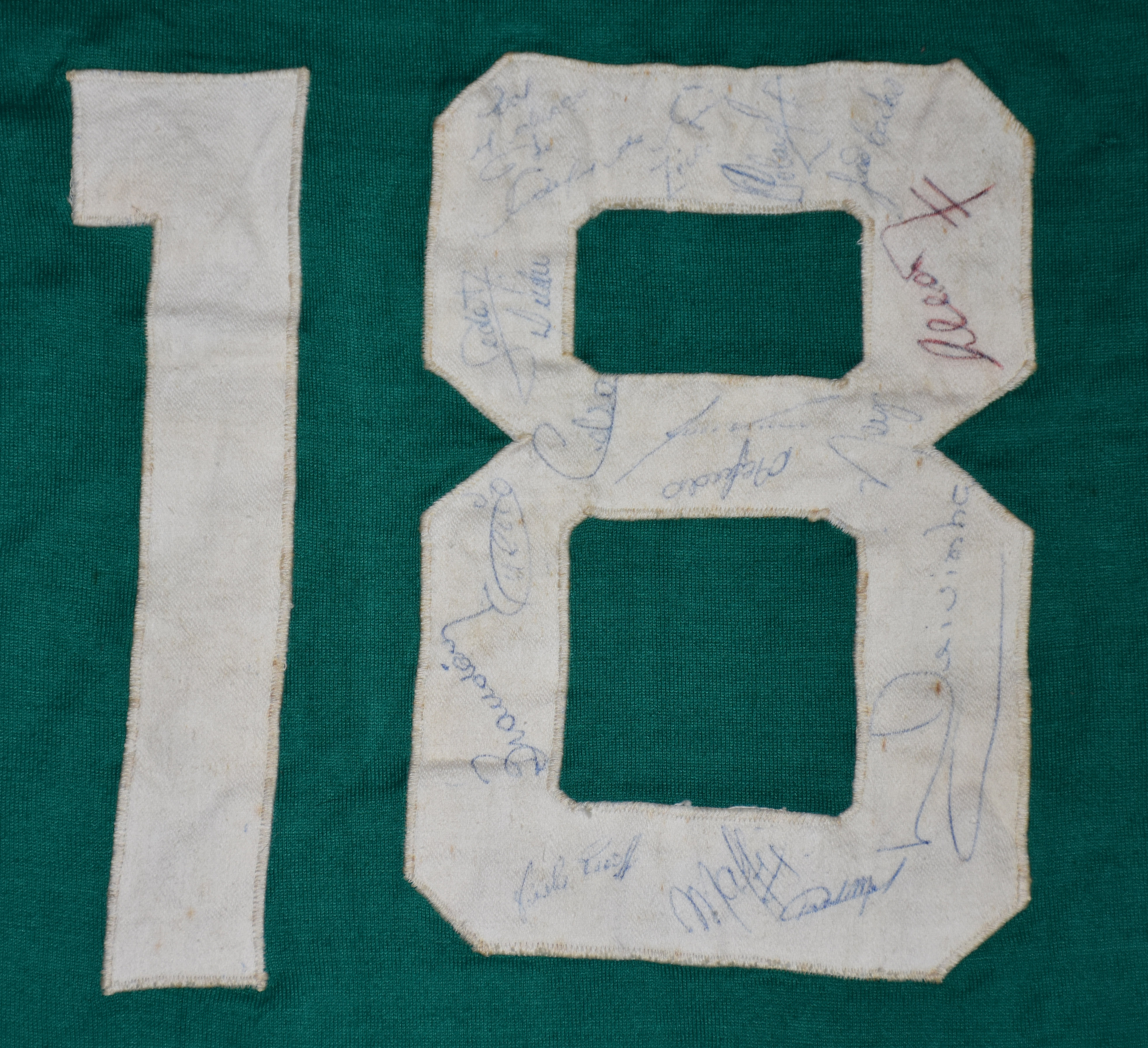Camisa do time de futebol do Palmeiras com assinaturas de Adhemir da... - foto 3 de 4