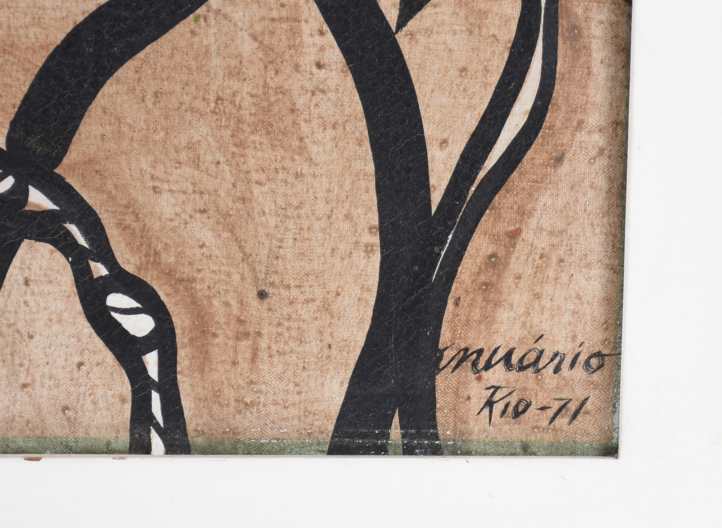 Sebastião Januário (1939-2025), São Francisco - foto 2 de 3