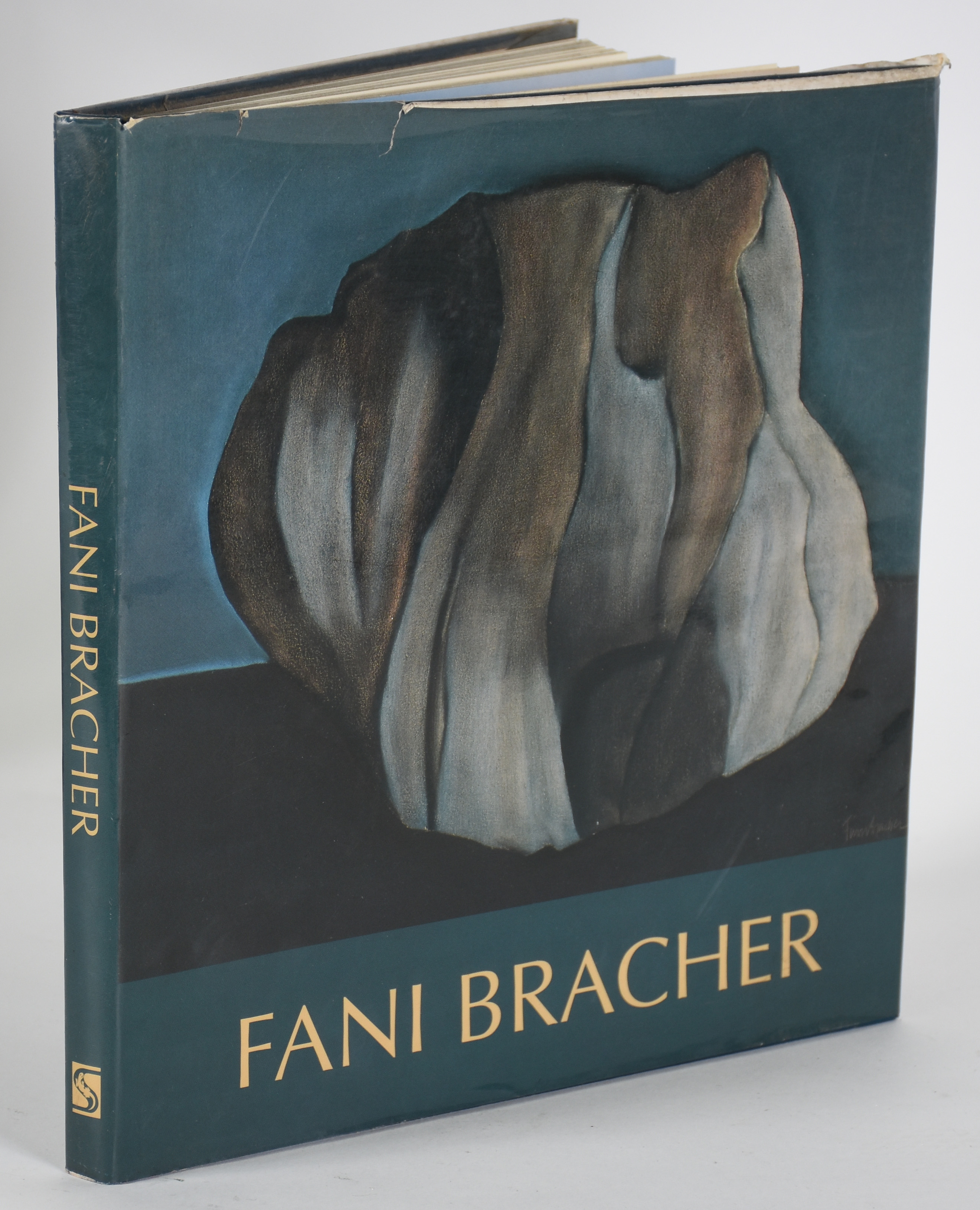 Fani Bracher (1944), Montanhas, dat.1993 - foto 4 de 6