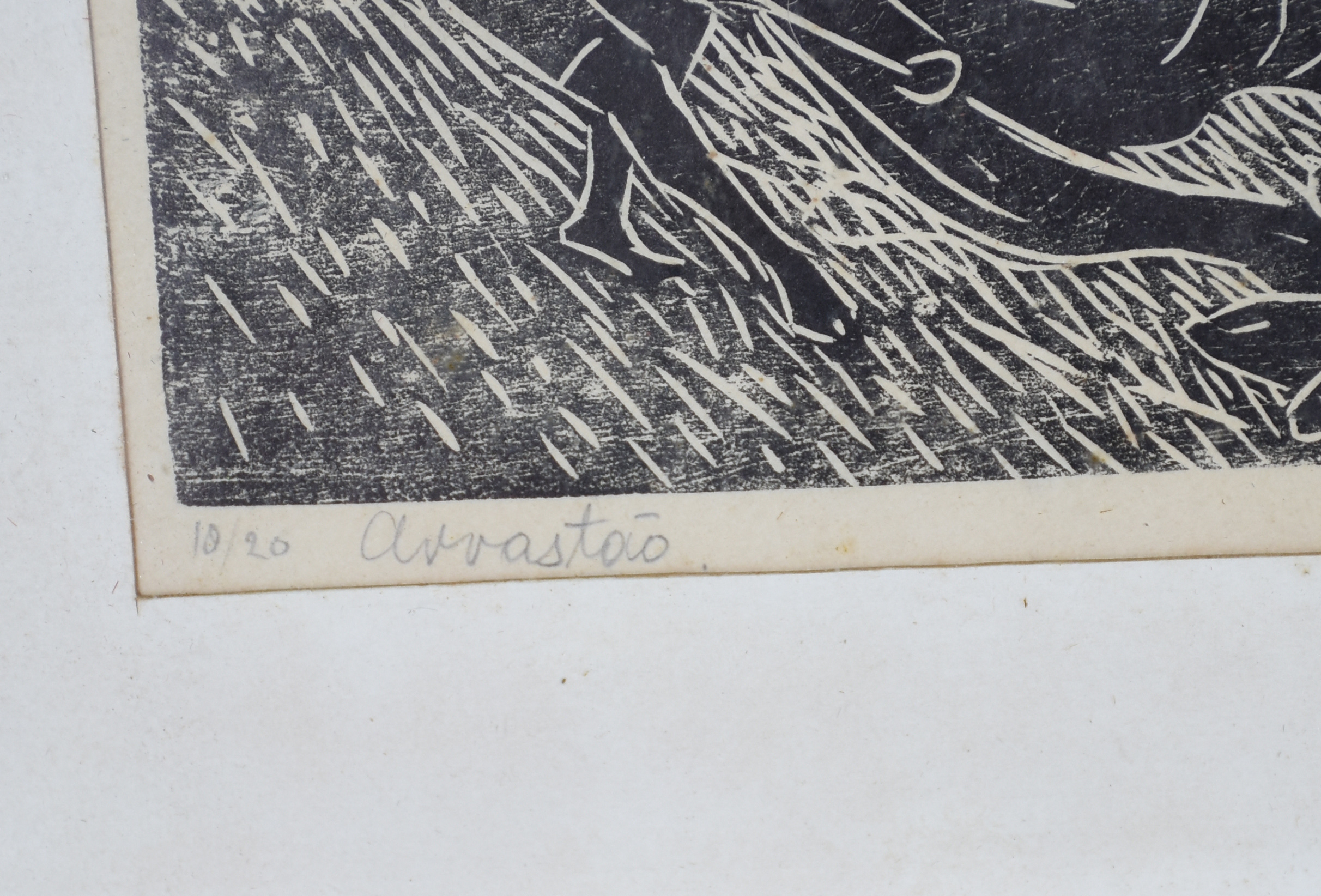 Percy Lau (1903-1972), Arrastão - foto 2 de 4