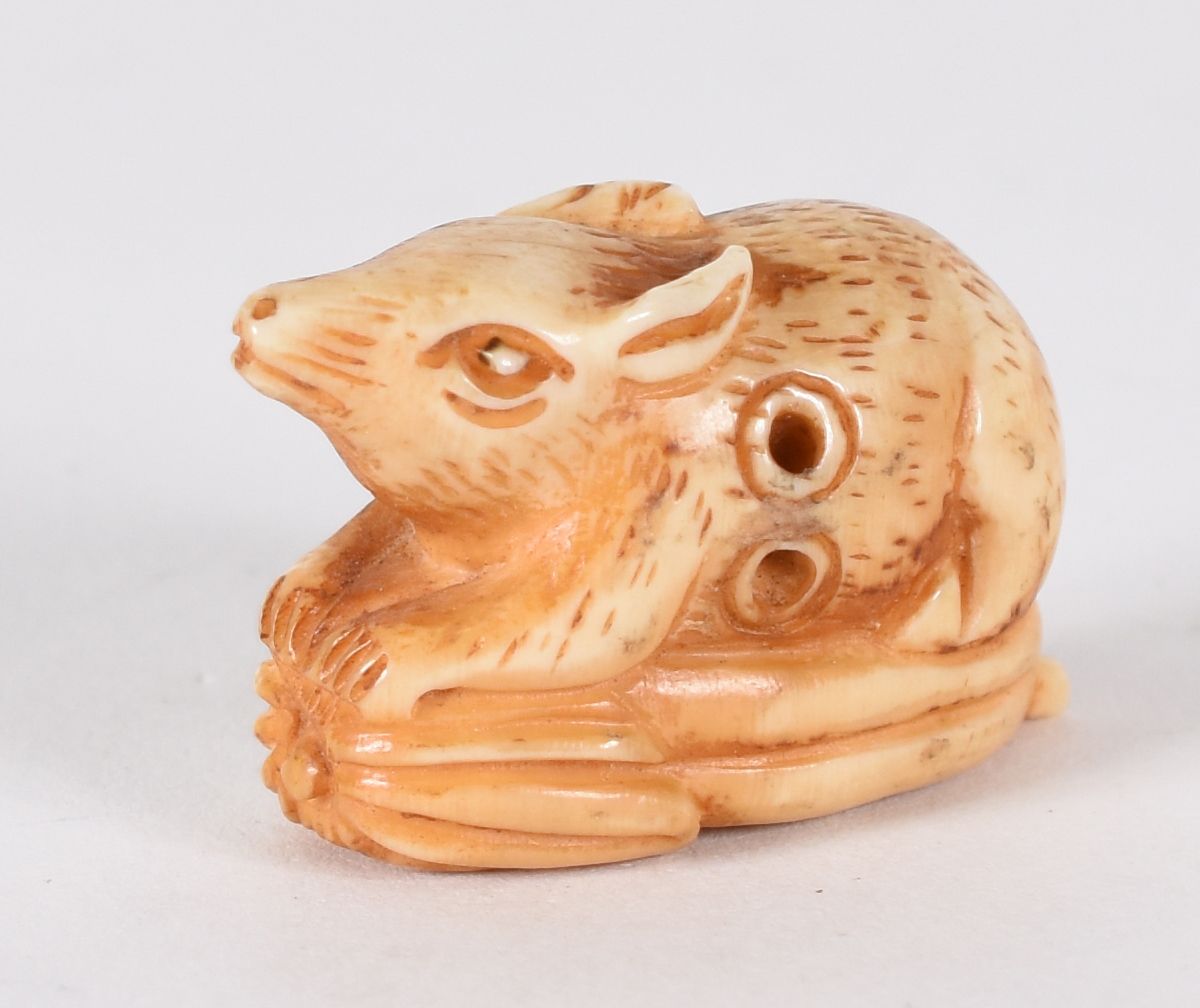 Netsuke de marfim , representando rato - foto 1 de 4