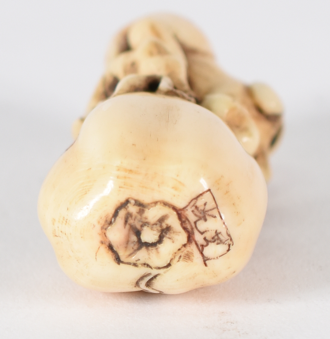 Netsuke de marfim assinado , representando cachorro. - foto 3 de 4