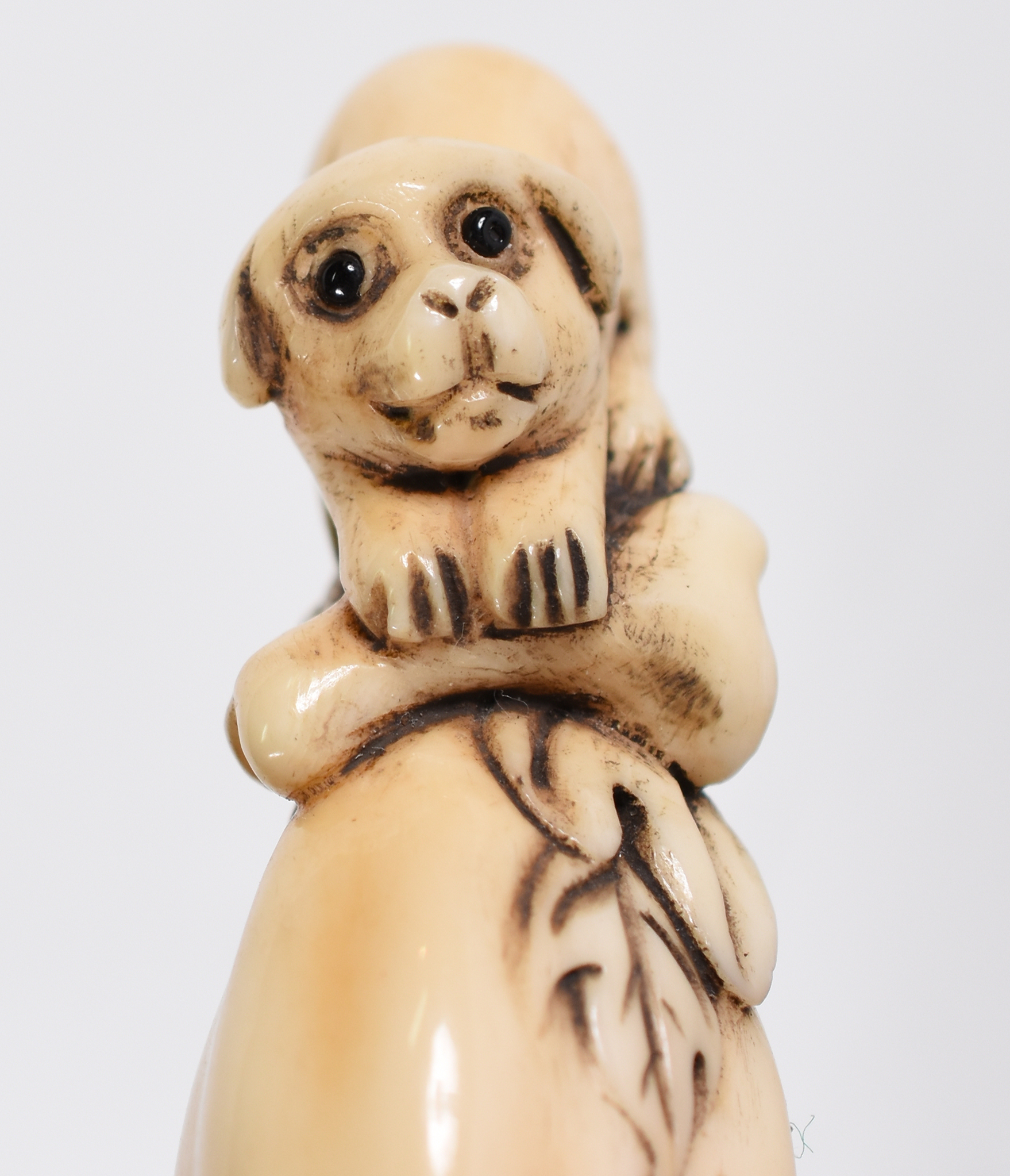 Netsuke de marfim assinado , representando cachorro. - foto 2 de 4