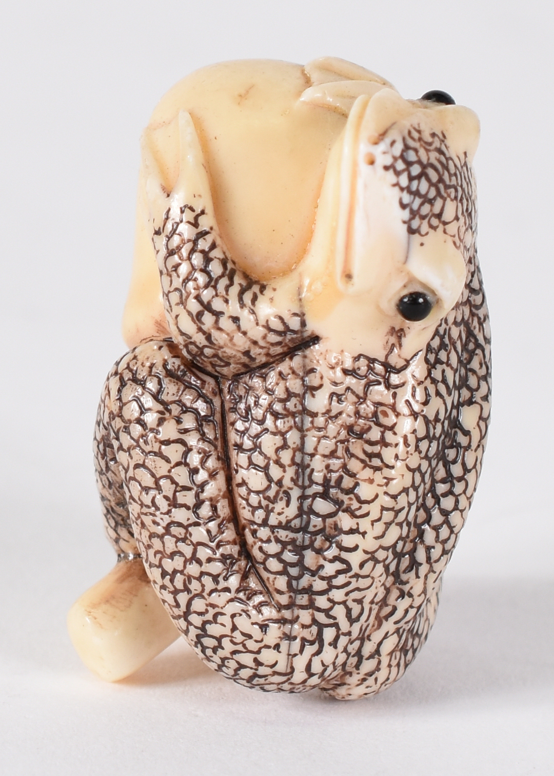 Netsuke de marfim , representando sapo assinado. - foto 1 de 4