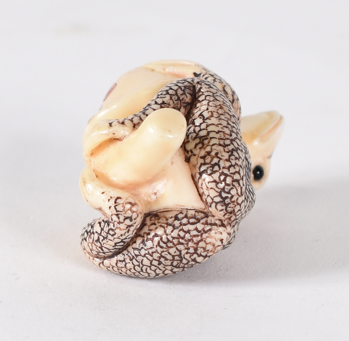 Netsuke de marfim , representando sapo assinado. - foto 3 de 4
