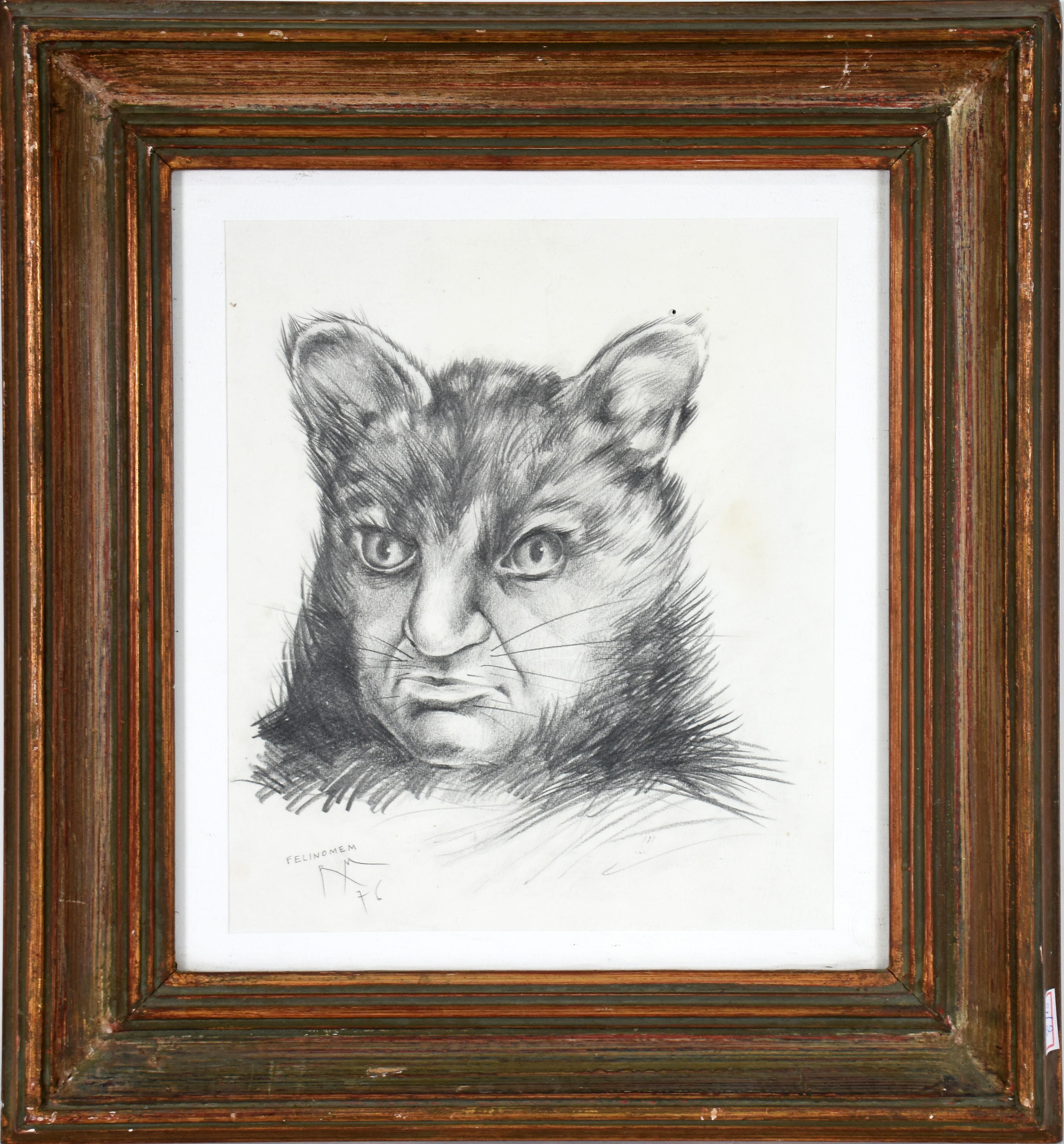 Roberto Magalhães (1940), Felinomem - foto 1 de 5
