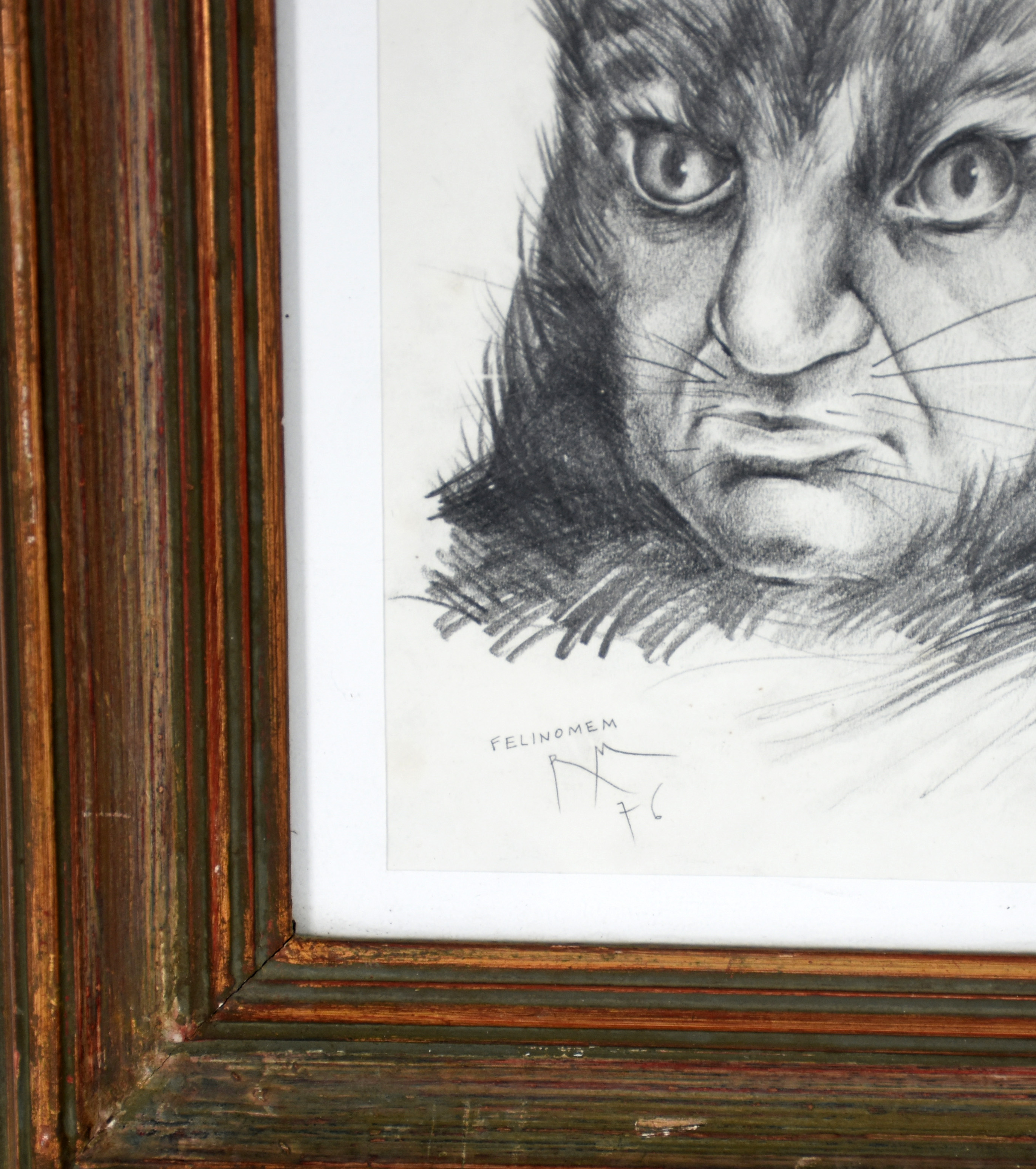 Roberto Magalhães (1940), Felinomem - foto 2 de 5