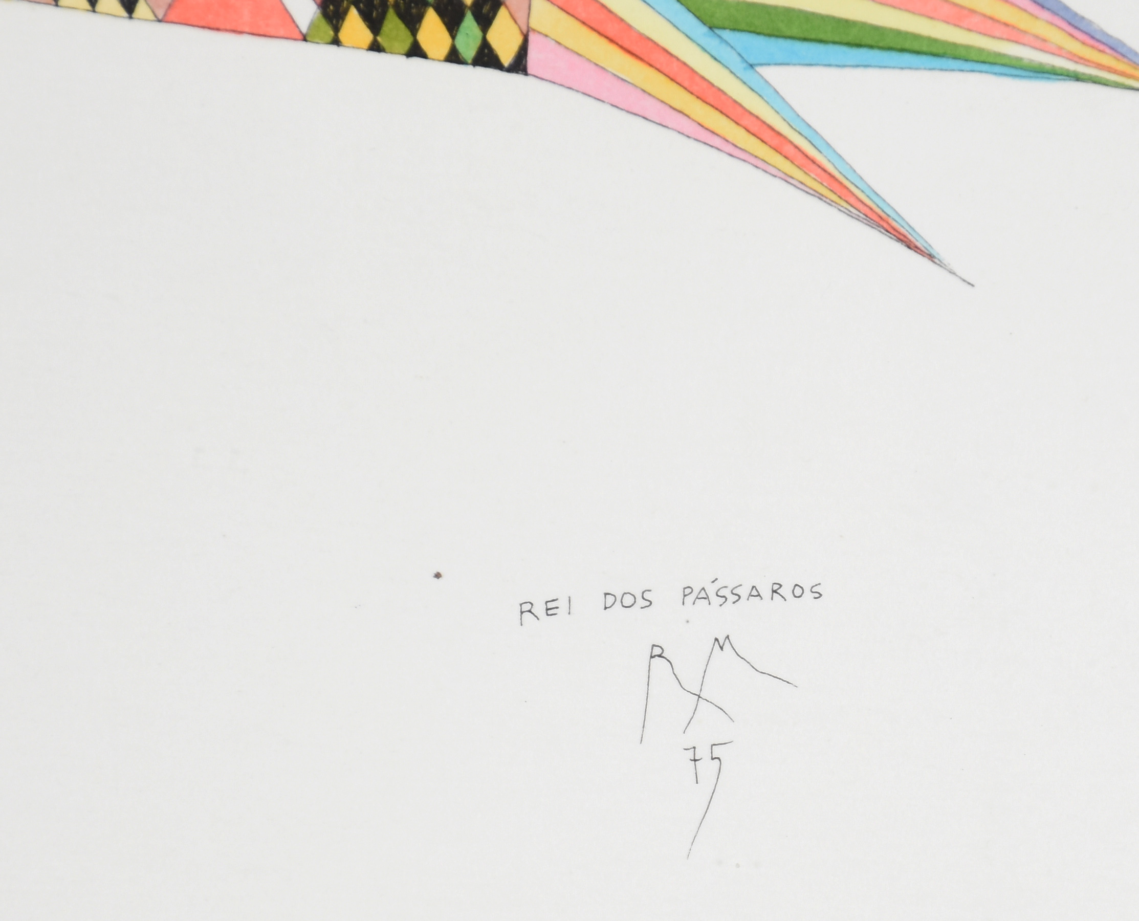 Roberto Magalhães (1940), Rei dos pássaros - foto 2 de 3