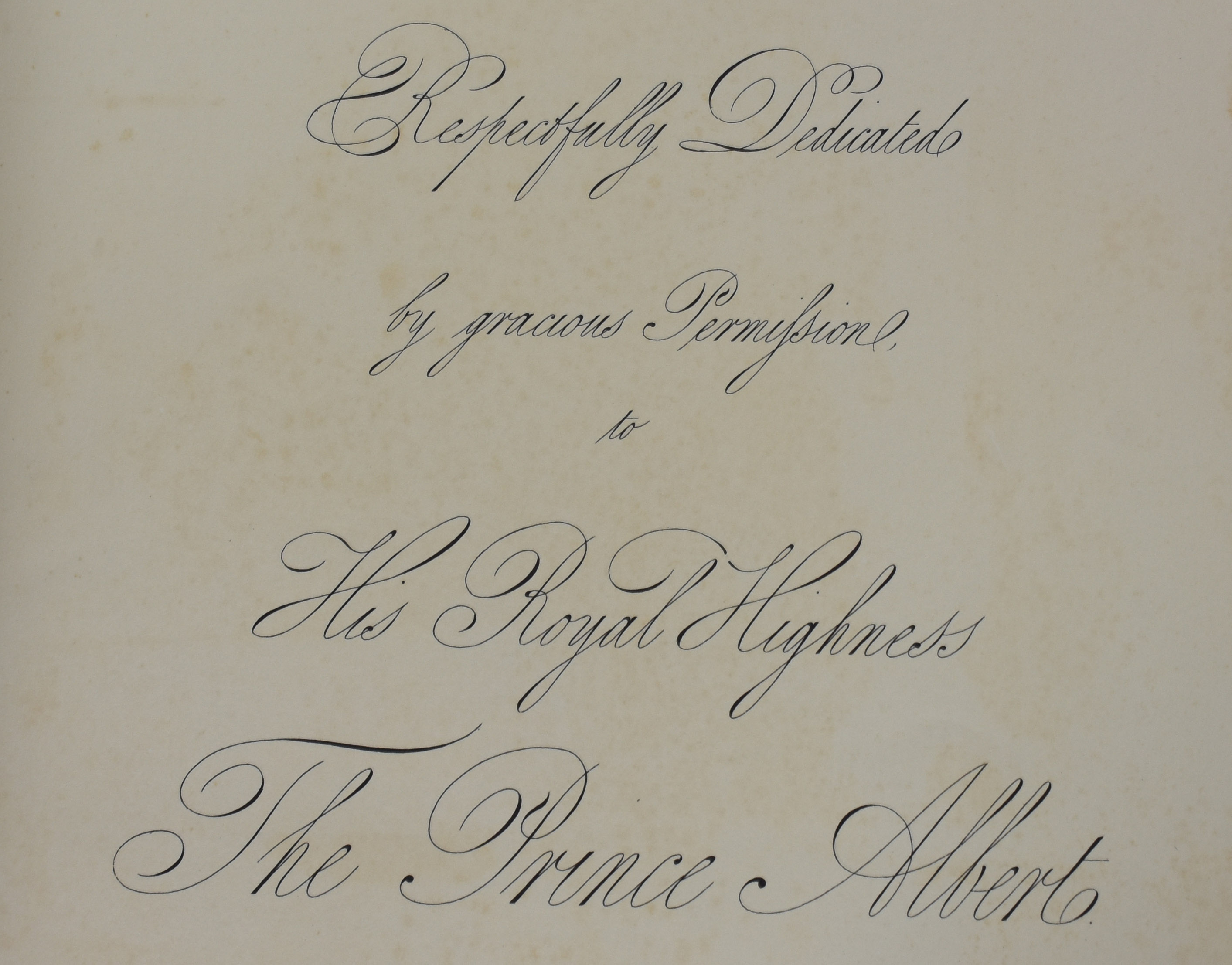 Álbum de gravuras " His Royal Highness " The Prince Alberti. - foto 4 de 6