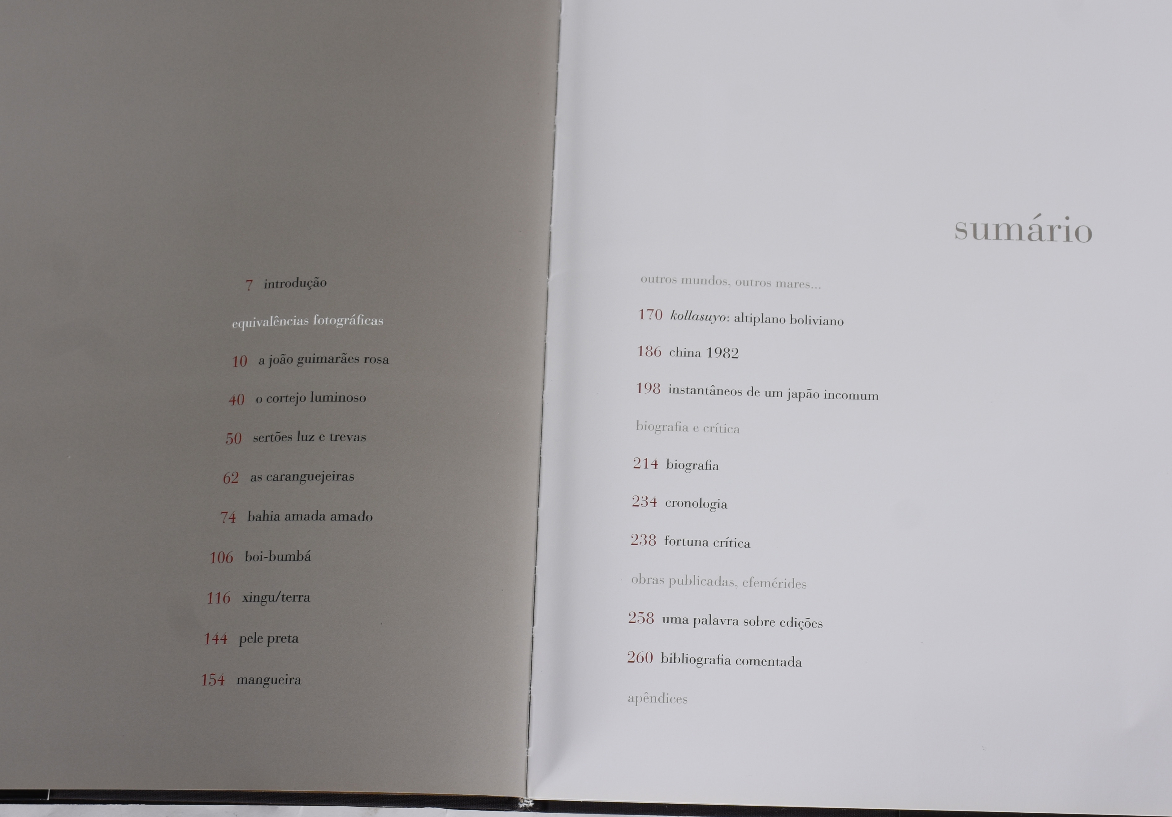 Três livros: -Flug Über Europa - Deutschand -90 Anos de histórias... - foto 6 de 7