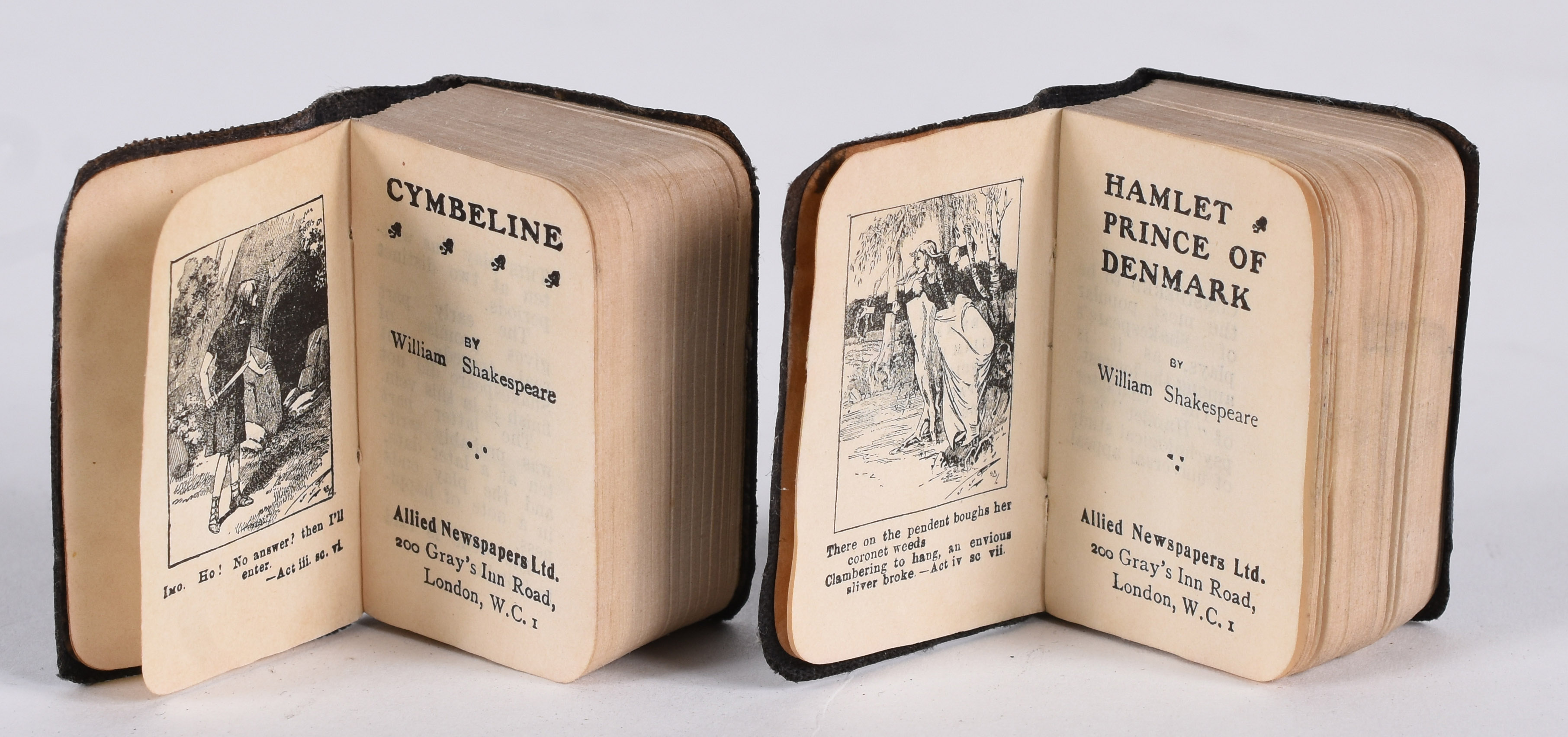 Coleção com 40 livros em miniatura de autoria de Skakespeare, idioma... - foto 4 de 5