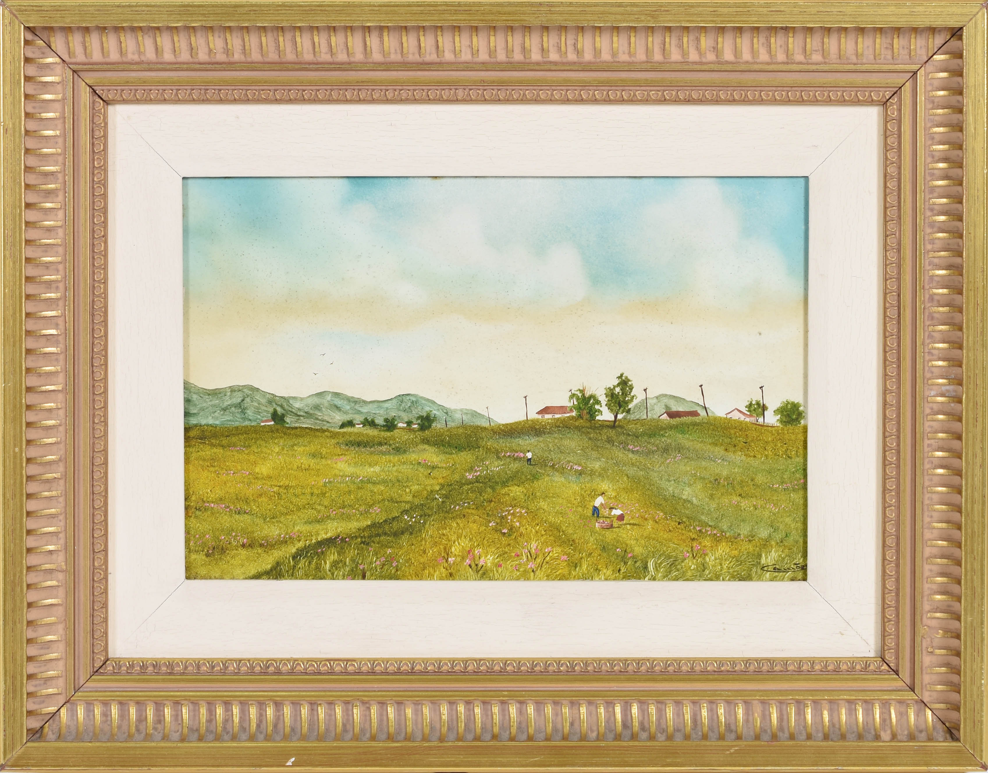 Eduardo Camões (1955), Campo - foto 1 de 3