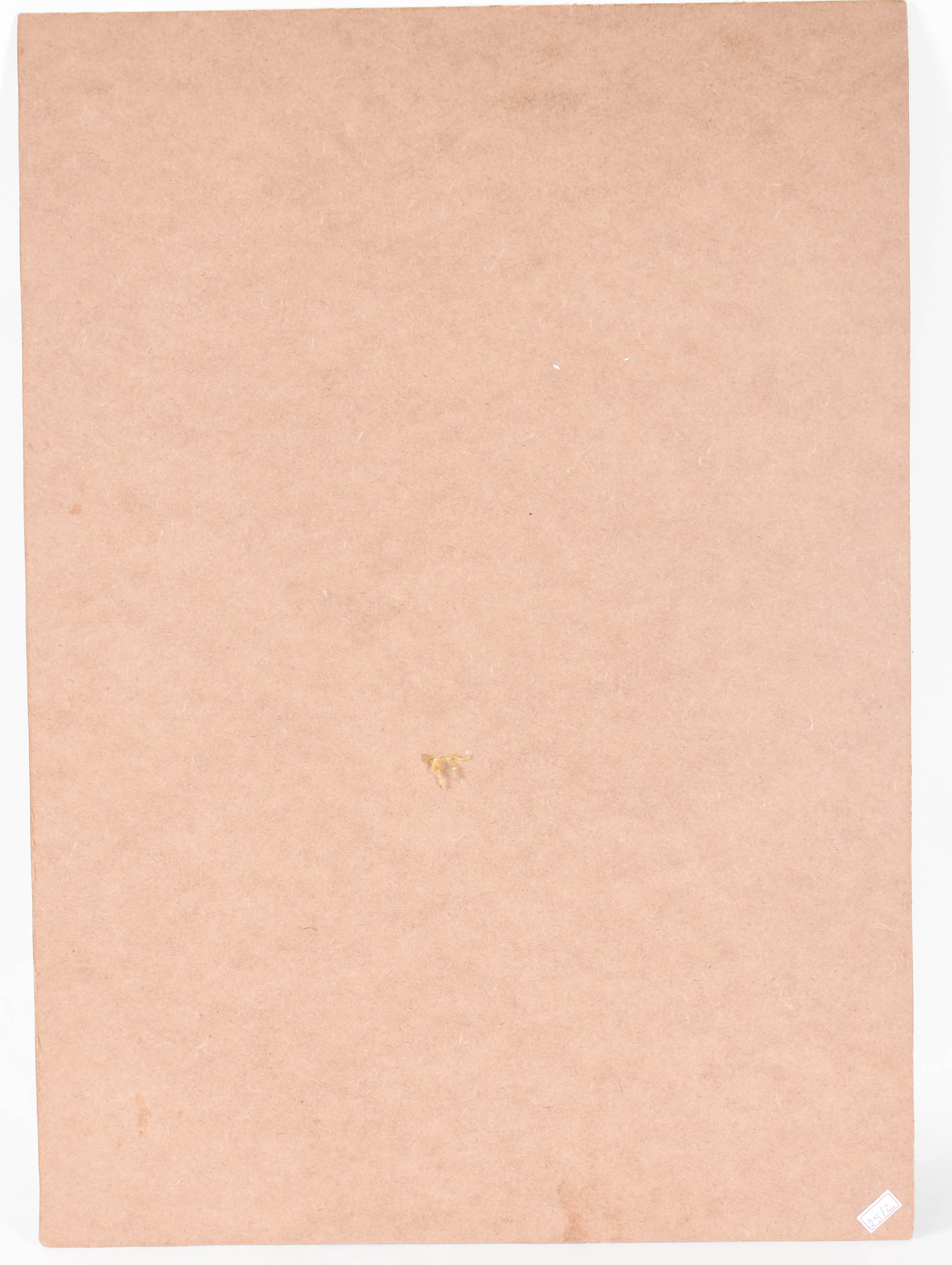 Farnese de Andrade (1926-1996), Figura - foto 3 de 3
