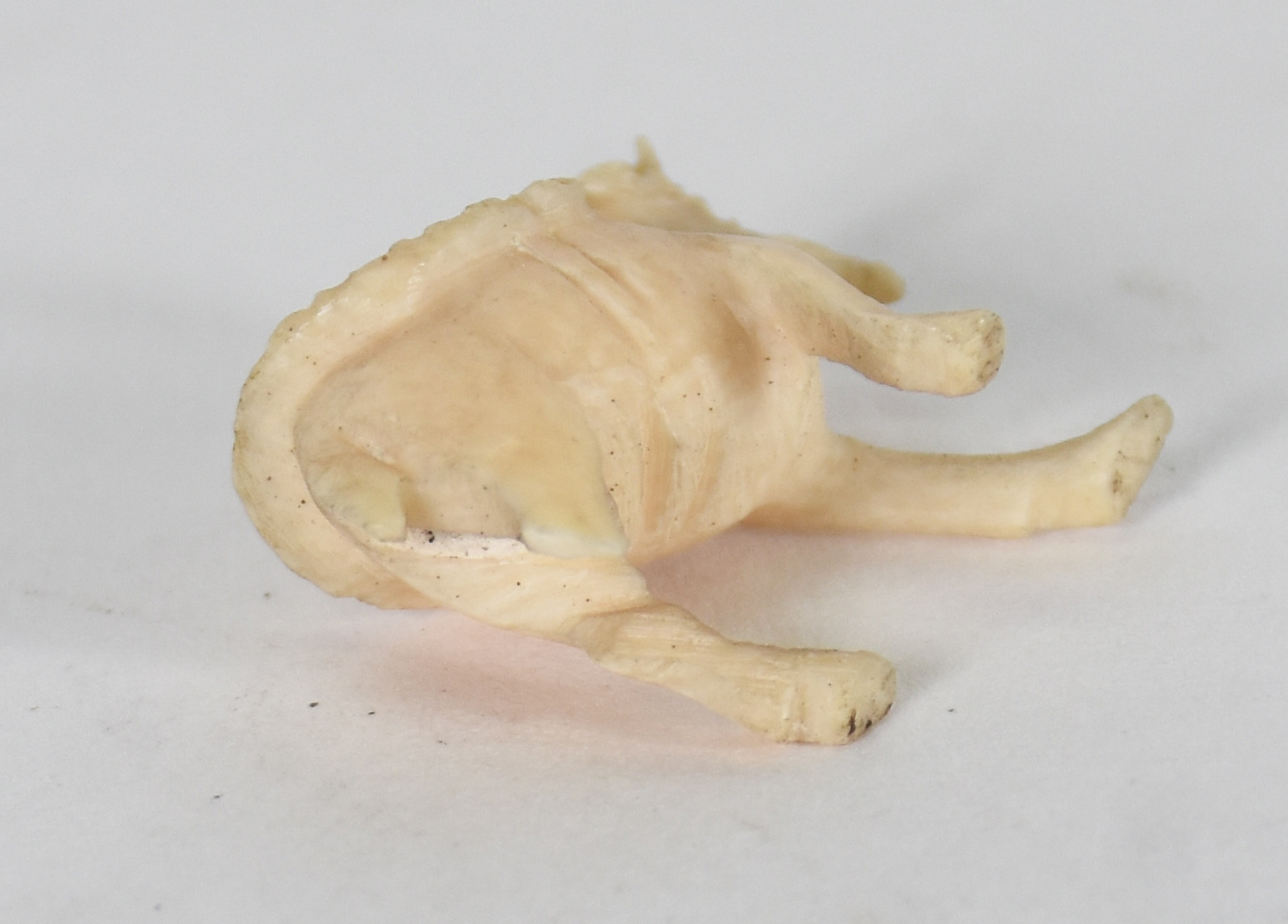 Quinze pequenas figuras de animais de material córneo . - foto 2 de 3