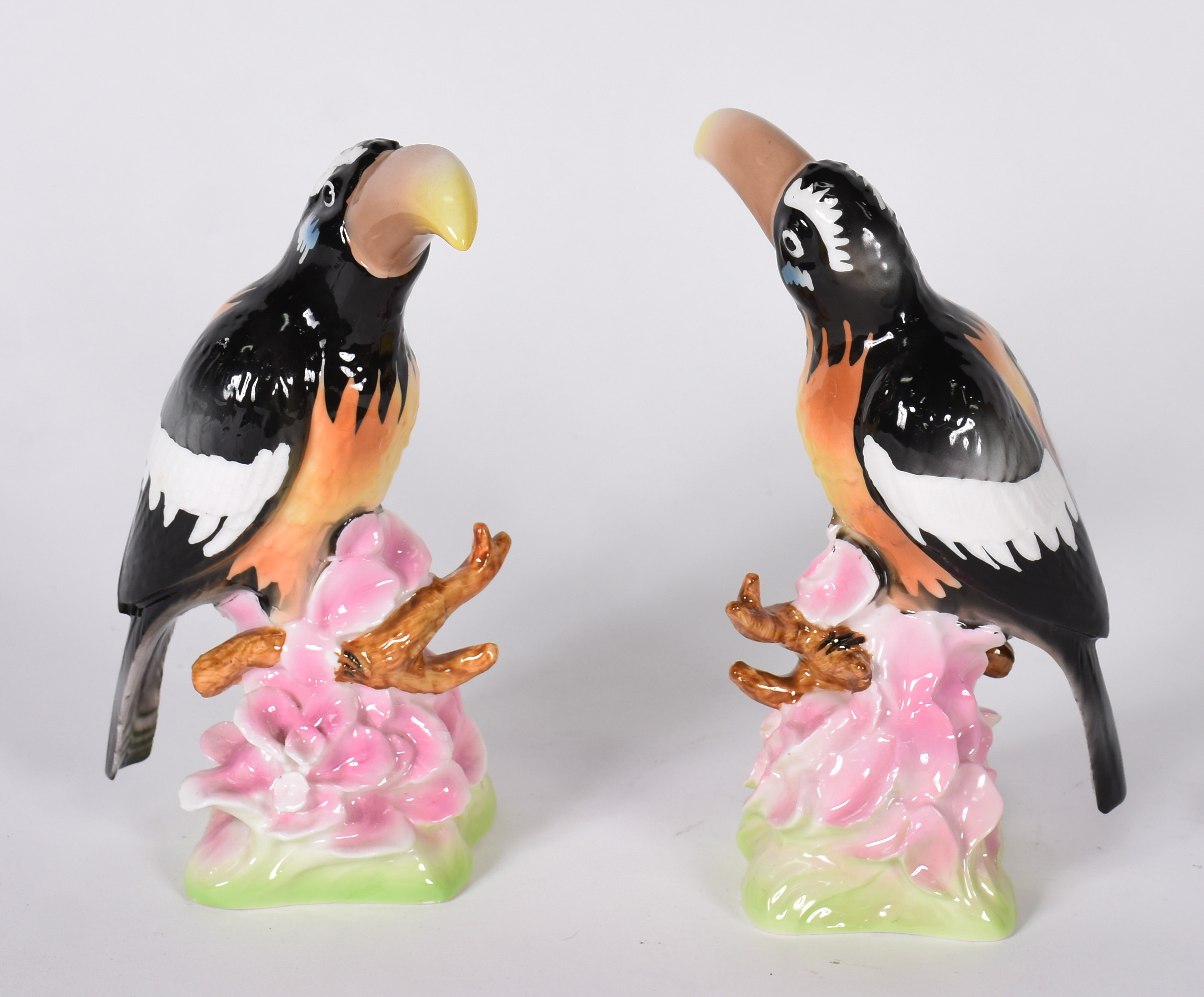 Dois tucanos de porcelana policromada . - foto 3 de 5