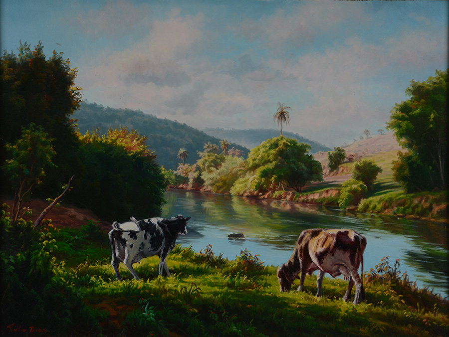 TÚLIO DIAS - Paisagem - ost - 60 x 80 - foto 2 de 3
