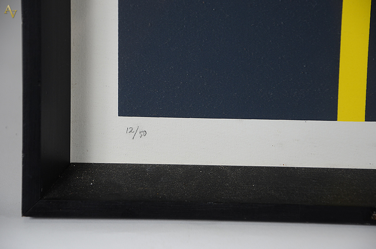 JULIO LE PARC - Sulface clouleuer - serigrafia 15/50 - 70 x 70... - foto 4 de 5