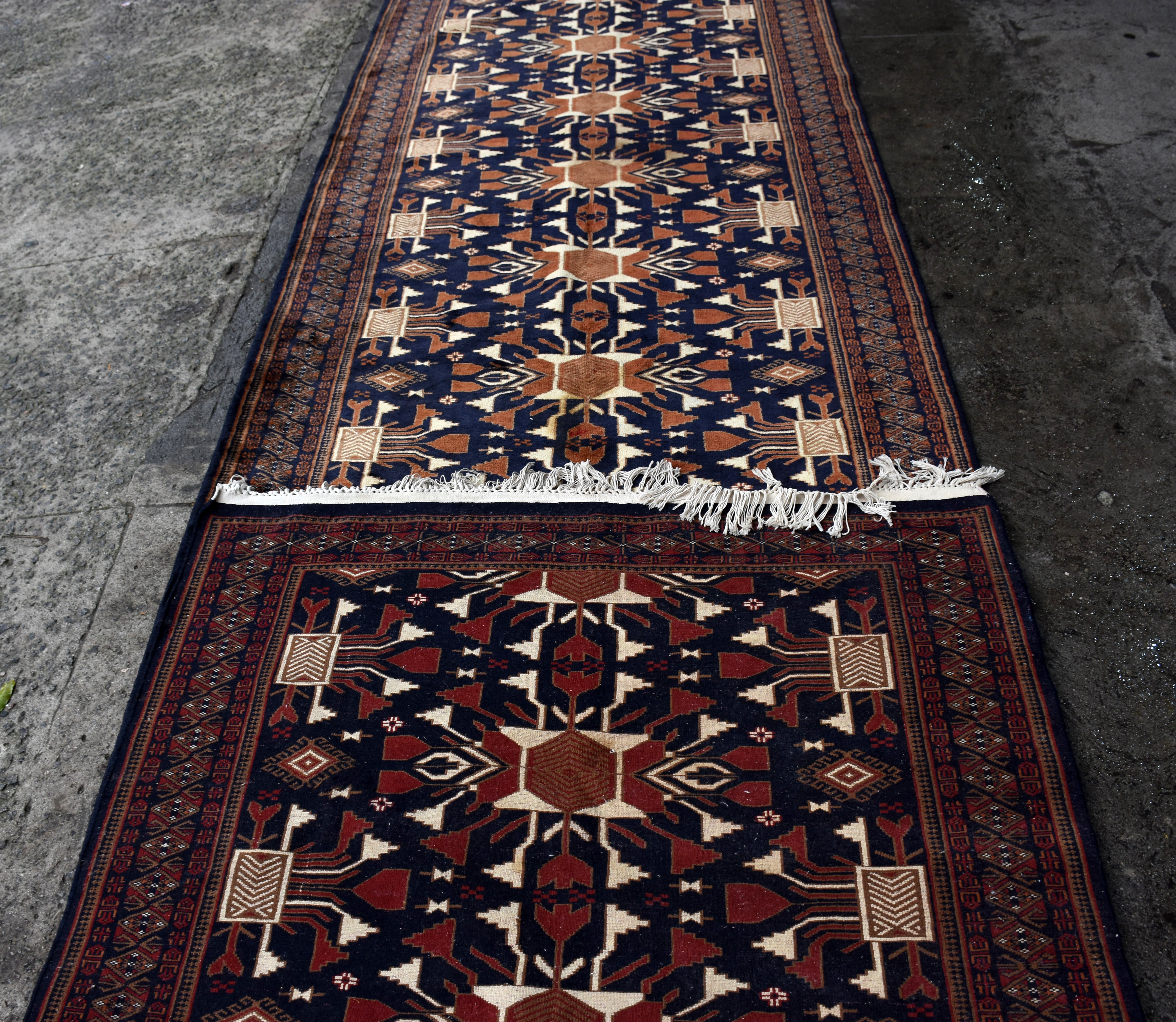 Galeria Kazak . - foto 2 de 2