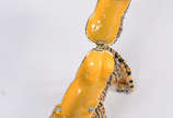 Porta  anel de metal esmaltado com pedrinhas co... - Porta  anel de metal esmaltado com pedrinhas coloridas, representando tigre.