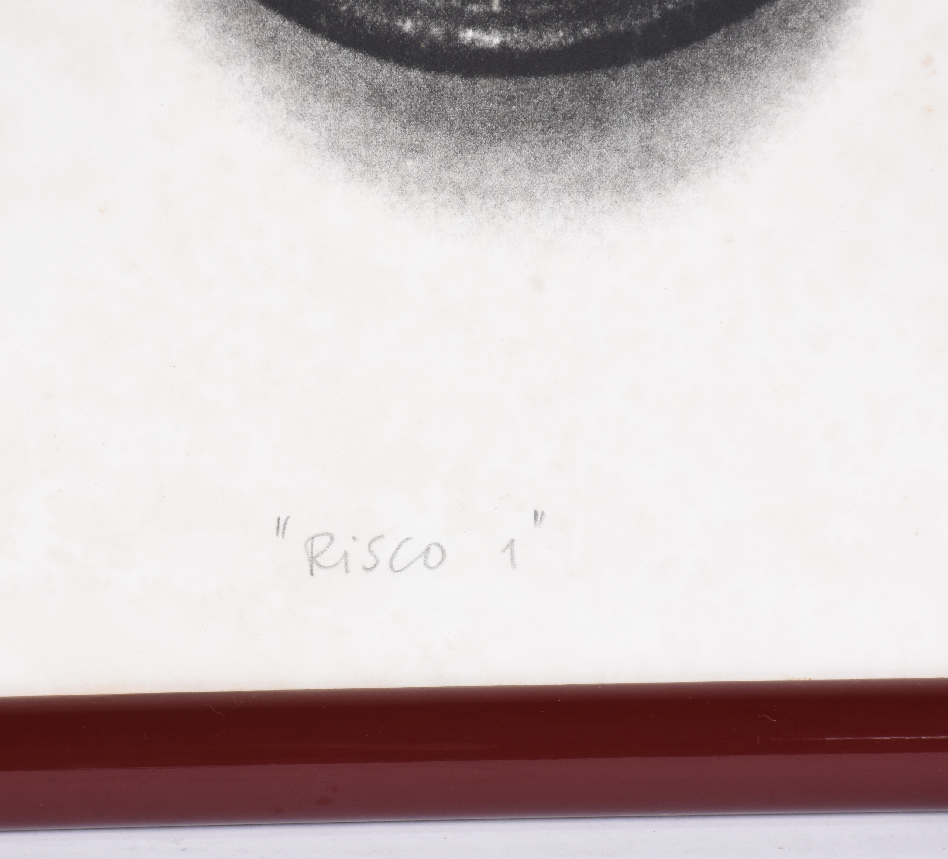 Regina Silveira (1939), Risco 1 - foto 3 de 5