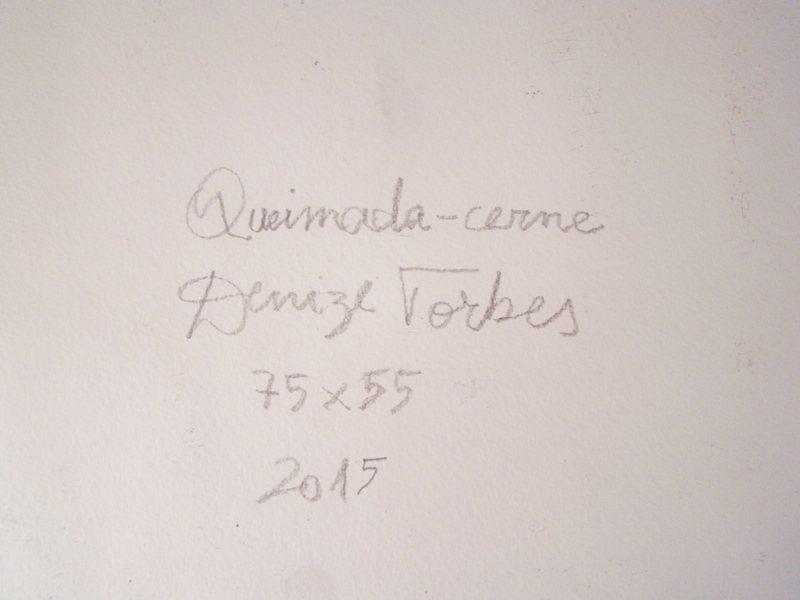 "Queimada-cerne", 2015 - foto 2 de 2
