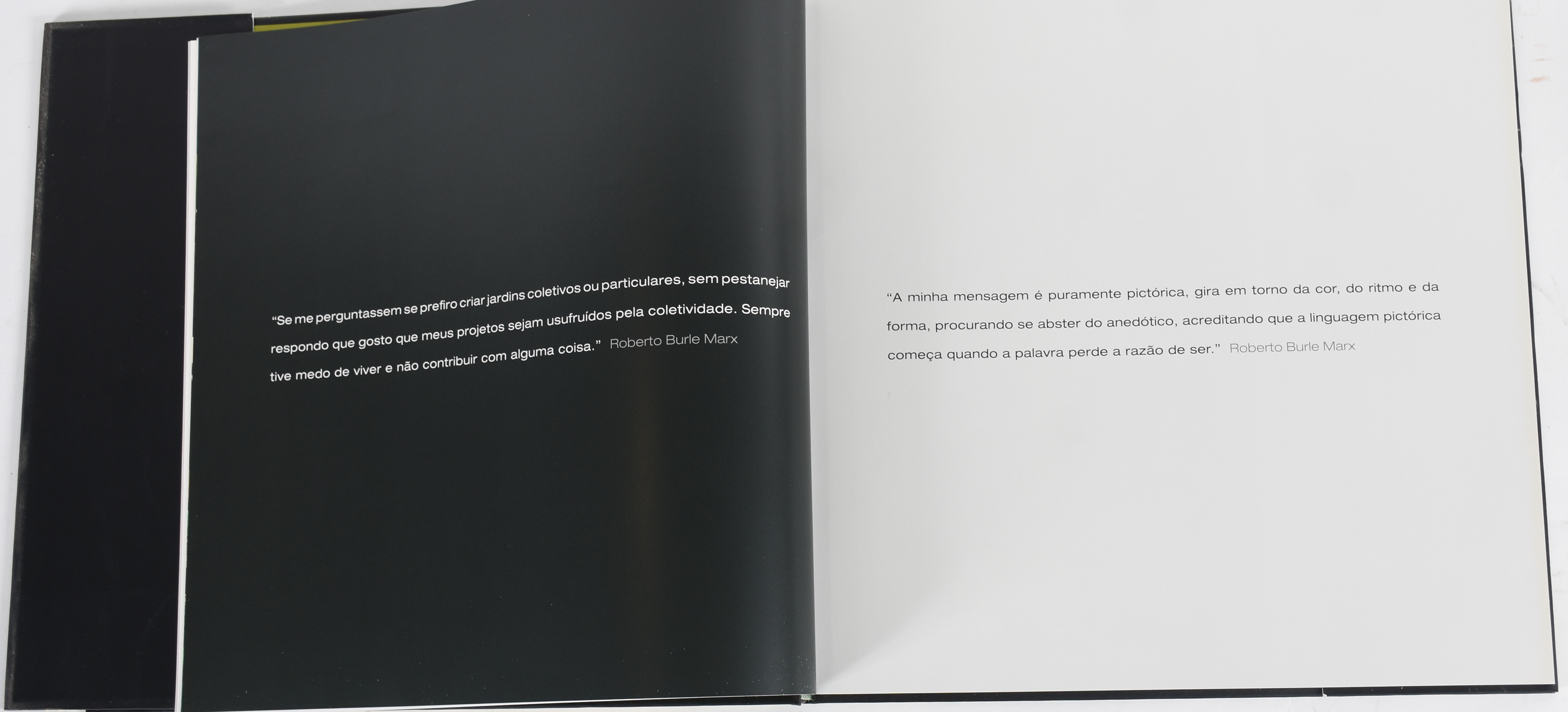 Dois livros: Oscar Niemeyer e Burle Marx - foto 2 de 9