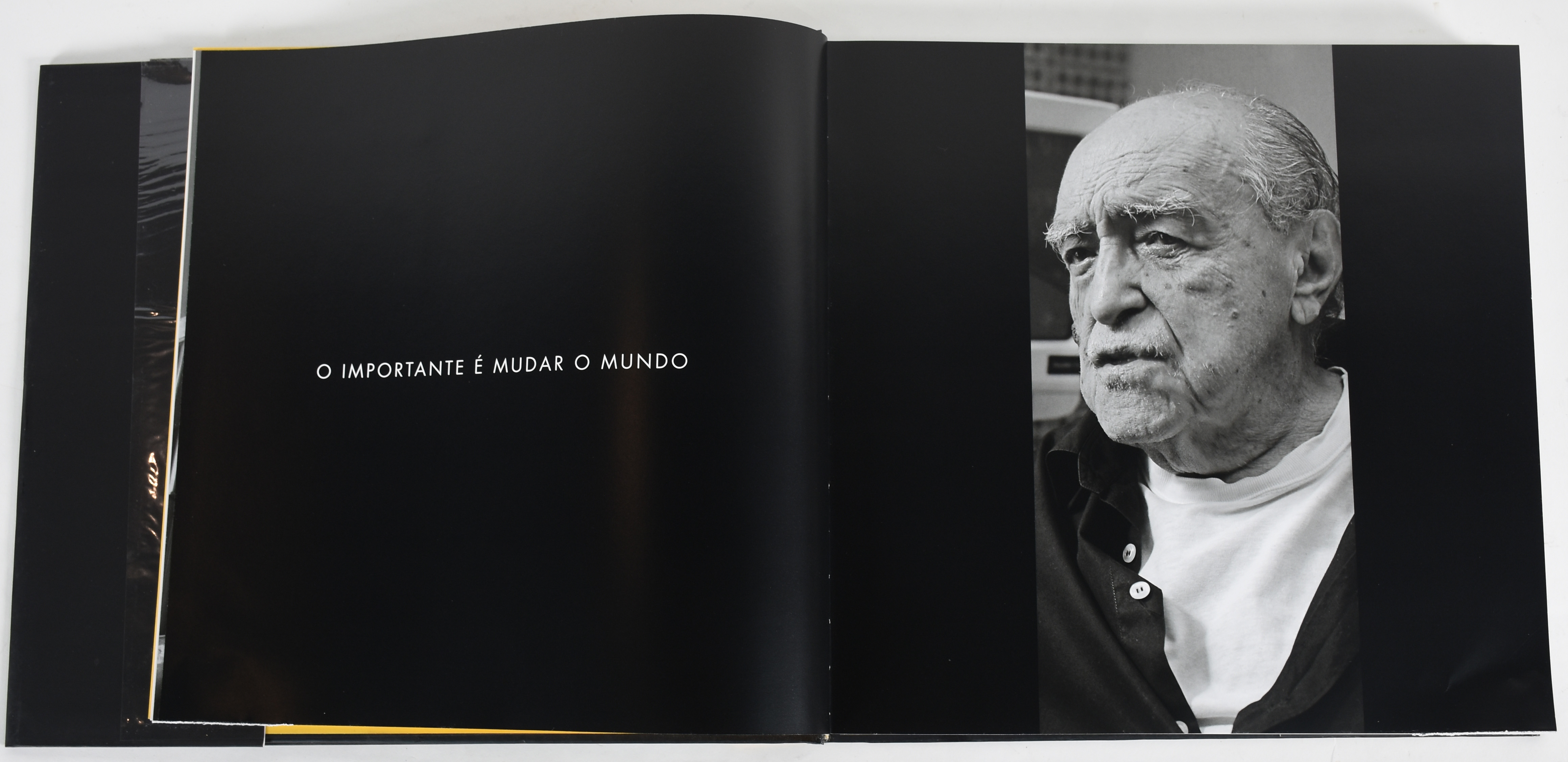 Dois livros: Oscar Niemeyer e Burle Marx - foto 5 de 9