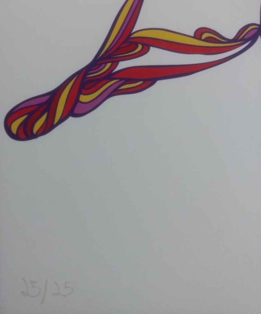 Bruno Big (1980), Twinfly - foto 2 de 3