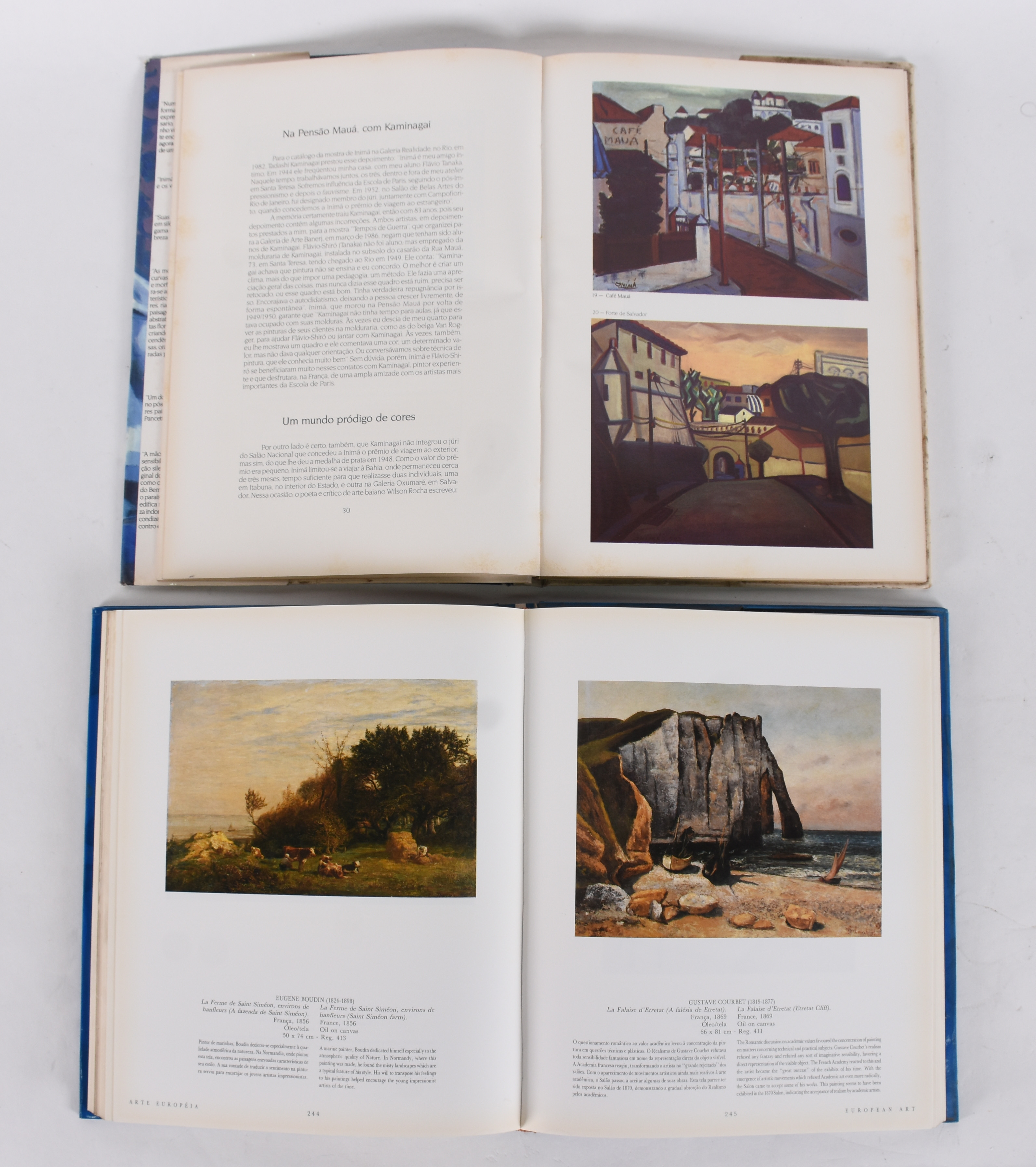 Dois livros, sendo: a) Museus CASTRO MAYA, b) Inimá de Paula - foto 2 de 4