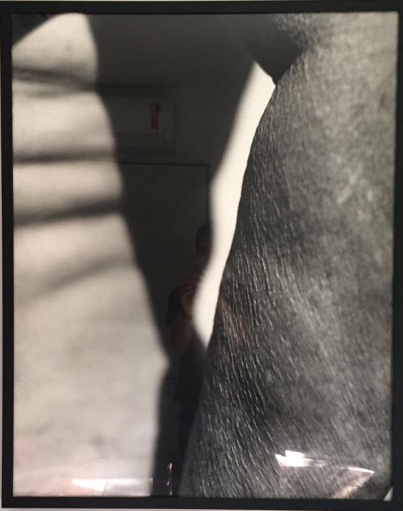 Vicente de Melo (1967), SEM  TÍTULO - foto 1 de 4