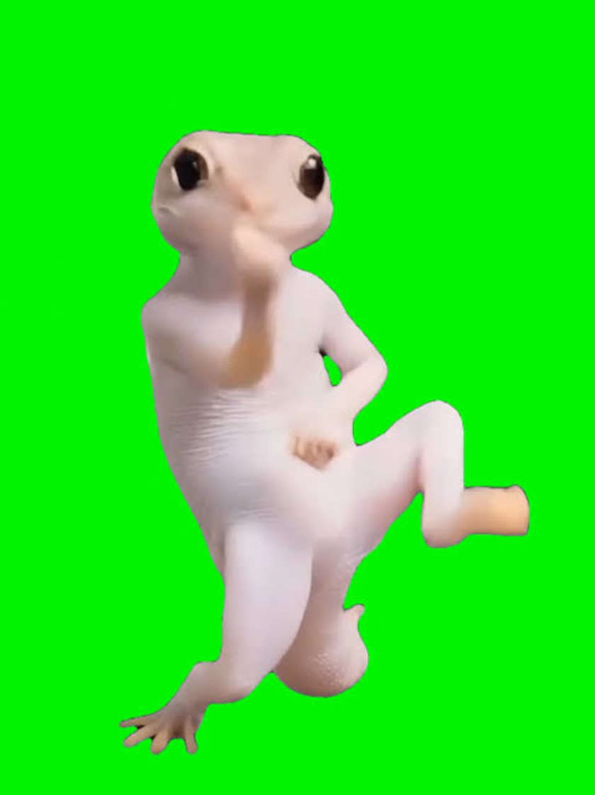 TesteFotoLoteEmAndamento